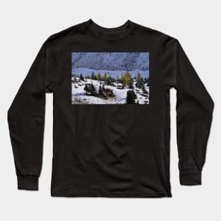 Gold Larch Trees. Long Sleeve T-Shirt
